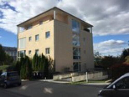 Foto - Stilvolle, gepflegte 3-Zimmer-Wohnung mit Terrasse und Garten