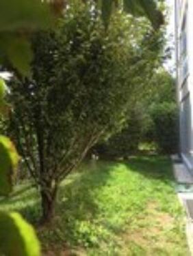 Foto - 3 Zimmer Erdgeschoßwohnung in Frankfurt am Main