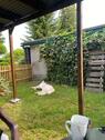 Foto - Garten abzugeben - 500,00&nbsp;EUR Kaltmiete, ca.&nbsp; 0,00&nbsp;m&sup2;