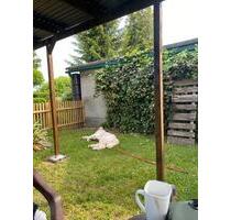 Garten abzugeben - 500,00&nbsp;EUR Kaltmiete, ca.&nbsp; 0,00&nbsp;m&sup2; in Eisleben (Lutherstadt) (PLZ: 06295)