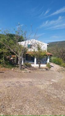 Foto - Alghero: Typisches Sardisches Ferienhaus zwischen Olivenbäumen