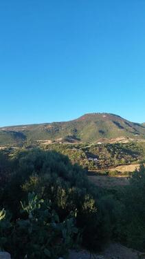 Foto - andere in Fuchstal