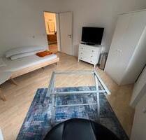 1 Zimmer Wohnung mit Küche für kurzfristige Vermietung - Mietingen