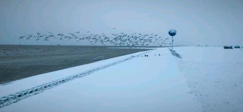 Foto - andere in Dornum