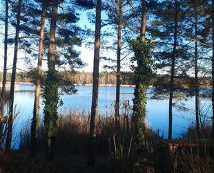 Wochenendgrundstück 750 qm in Möhlau am Möhlauer See zu verkaufen - Gräfenhainichen Zschornewitz