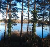 Wochenendgrundstück in Möhlau am Möhlauer See zu verkaufen - Gräfenhainichen Zschornewitz