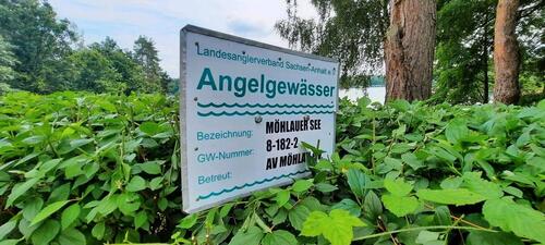Foto - Einfamilienhaus zum Kaufen in Gräfenhainichen