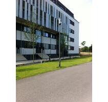 Der Unterschied zwischen Traumprinz und Traumwohnung: Das LETZTERE gibt es wirklich. - Essen Stadtkern