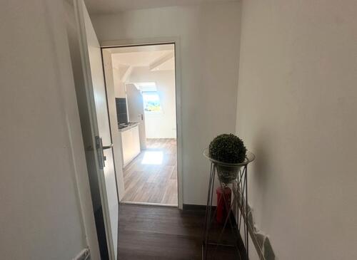 Foto - Einzelapartment in Mannheim Rheinau