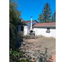 Pachtgarten in Teuchern - 700,00&nbsp;EUR Kaltmiete, ca.&nbsp; 0,00&nbsp;m&sup2; in Teuchern (PLZ: 06682)