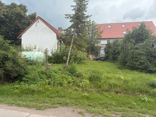 Foto - Einfamilienhaus zum Kaufen in Erxleben