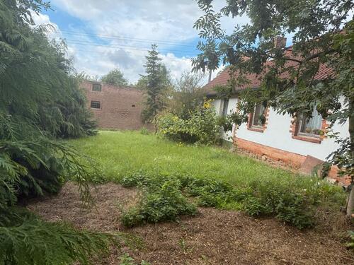 Foto - Einfamilienhaus in Erxleben