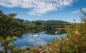 Foto - 