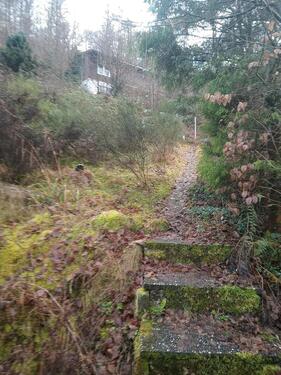 Foto - Vermietung EFH, 3ZKB, 90 qm, Raum Elmstein im Pfälzer Wald