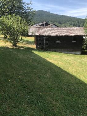 Foto - 