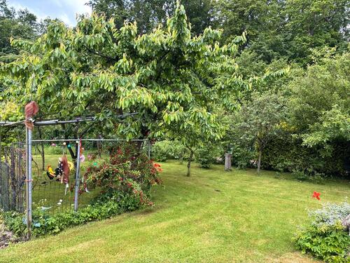 Foto - Einfamilienhaus in Hamburg