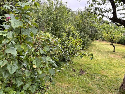 Foto - Einfamilienhaus in Hamburg zum Kaufen