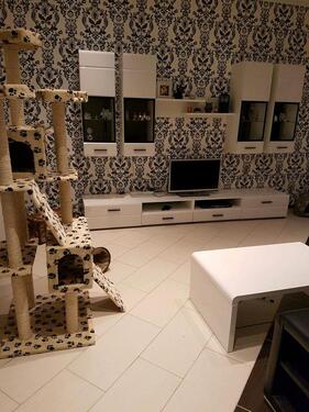 Foto - 3 Zimmer Erdgeschoßwohnung zum Kaufen in Hohenhameln