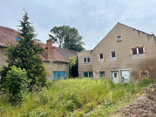 Foto - 12 Zimmer Mehrfamilienhaus, Wohnhaus zum Kaufen in Hecklingen