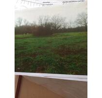 Wassergrundstück an der Ostsee in Barth - Potsdam Babelsberg