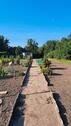 Foto - Pachtgarten - 100,00 EUR Kaltmiete, ca.  0,00 m²