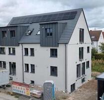 2 Zimmerwohnung mit Küche - 1.020,00 EUR Kaltmiete, in Herrenberg (PLZ: 71083)