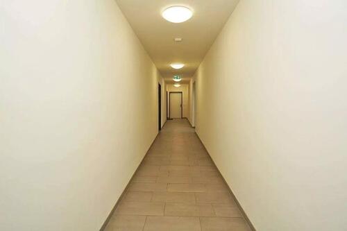 Foto - Etagenwohnung in Dresden zur Miete