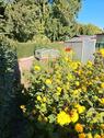 Foto - Grundstück in Dessau-Roßlau