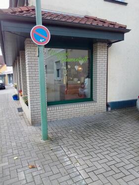 Foto - andere in Hasbergen