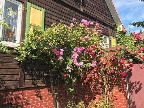 Foto - Einfamilienhaus in Strausberg zum Kaufen
