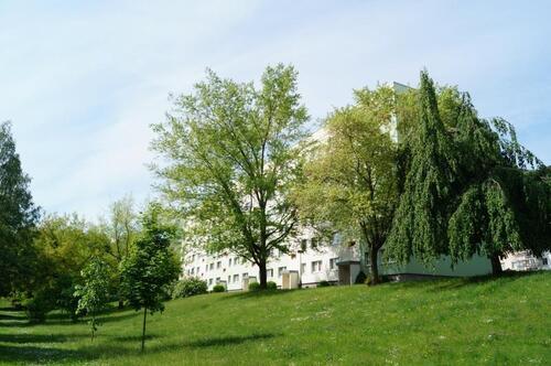 Foto - Etagenwohnung in Pößneck