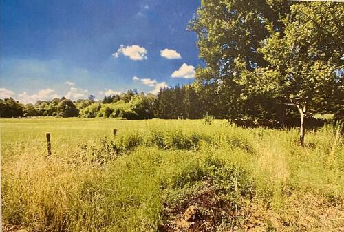 Foto - Kleiner Bauernhof, Weitblick, Pferdeparadies, Selbstversorger
