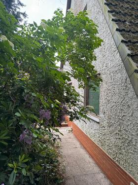Foto - 