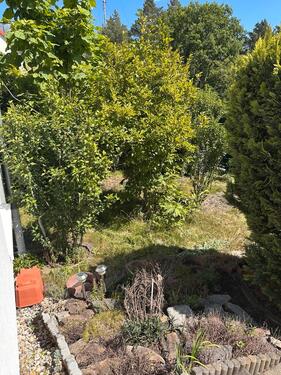 Foto - Etagenwohnung zur Miete in Hoyerswerda