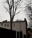Foto - 4 Zimmer Reihenhaus in Berlin