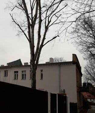 Foto - 4 Zimmer Reihenhaus in Berlin