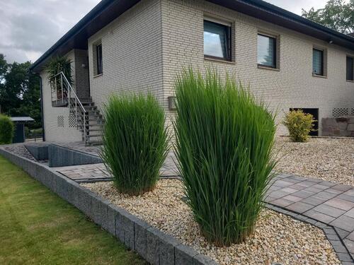 Foto - Ferienwohnung _ Lipperland_ Blomberg