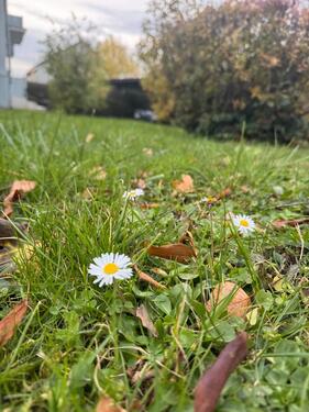 Foto - Lager In Asperg Untermiete Sharing Versand Service