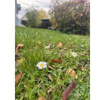 Lager In Asperg Untermiete Sharing Versand Service