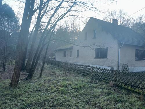 Foto - Haus im Wald zu verkaufen – Paradies für Naturliebhaber