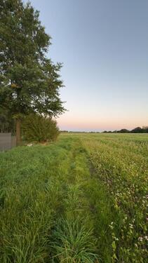 Foto - 2 Zimmer Etagenwohnung zur Miete in Marl