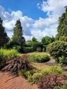 Foto - 5 Zimmer Einfamilienhaus in Gifhorn