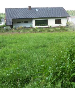 Foto - Schöner Bungalow in Wald Nähe - 319.000,00 EUR Kaufpreis,