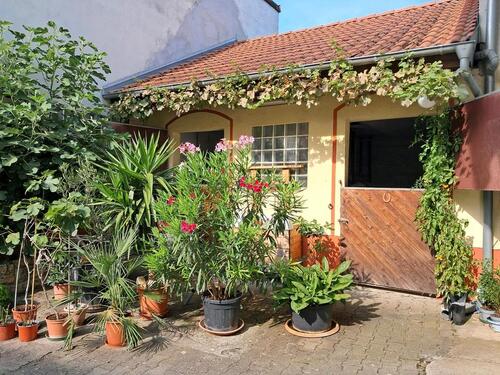 Foto - Einfamilienhaus mit großem Baugrundstück