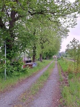 Foto - Mehrfamilienhaus, Wohnhaus in Zeulenroda-Triebes zum Kaufen