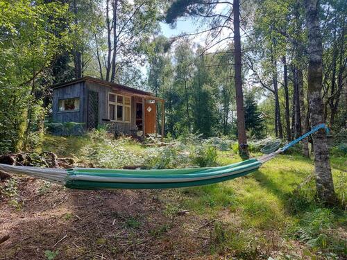 Foto - Tiny House Ferienhaus See Schweden Natur Pur Waldbaden Cabin