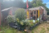 Foto - Villa Kunterbunt Tiny Haus Wohnwagen Naturhaus auf Rügen