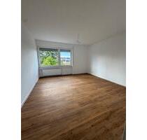 Kernsanierte 3-ZKB Wohnung in bester Lage von Friesenheim - Ludwigshafen am Rhein Ludwigshafen-Hemshof