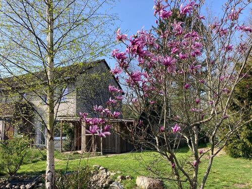 Foto - Neu renoviertes Reihenendhaus zur Zwischenmiete
