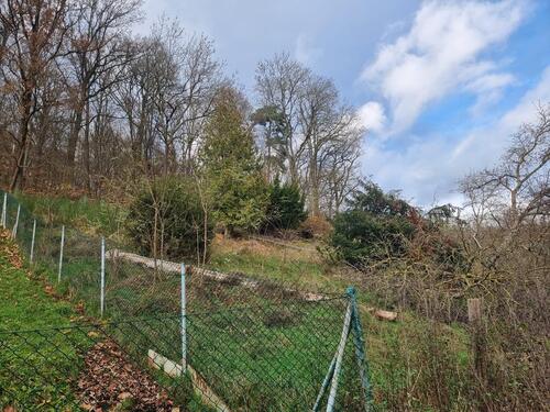 Foto - Grundst&uuml;ck zur Miete in Rotenburg an der Fulda